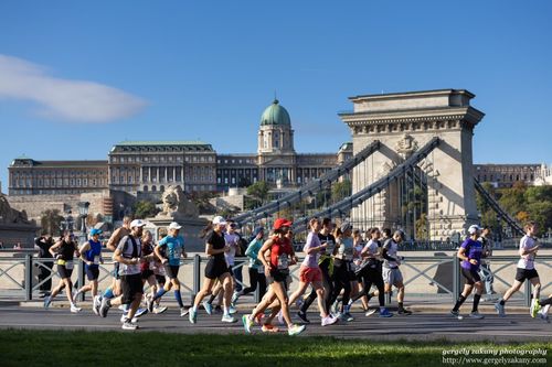 Lutz Éva tanárnő sikere